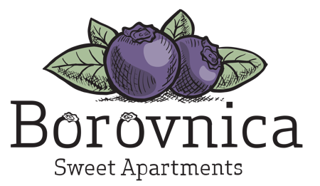 Borovnica Apartmani logo